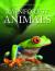 Rainforest Animals