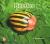 Beetles [Big Book]