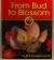 From Bud to Blossom