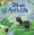 It's an Ant's Life My Story of Life in the Nest