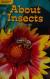 About Insects