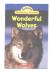 Wonderful Wolves