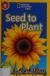 Seed to Plant