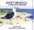 Salty Seagull A Tale of an Old Salt
