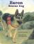 Baron Rescue Dog