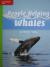 Reading Wonders Leveled Reader People Helping Whales: Beyond Unit 1 Week 4 Grade 2