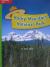 Reading Wonders Leveled Reader Rocky Mountain National Park: Beyond Unit 4 Week 1 Grade 2