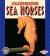 Clinging Sea Horses