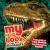 My Little Book of Dinosaurs