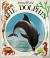 The Dolphin