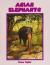 Asian Elephants
