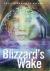 Blizzard's Wake