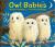 Owl Babies