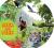 Seek and Peek: In the Rainforest