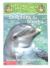 Dolphins and Sharks A Nonfiction Companion to Dolphins at Daybreak