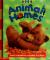 Animal Homes