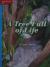 Reading Wonders Leveled Reader A Tree Full of Life: On-Level Unit 2 Week 3 Grade 2