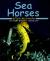 Sea Horses