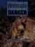Animals in Danger