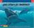 ¡Que Cenan los Tiburones? Preguntas y Respuestas Sobre los Tiburones