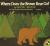 Where Does the Brown Bear Go?