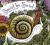 Swirl by Swirl Board Book Spirals in Nature