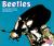 Beetles