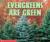 Evergreens Are Green