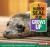 A Harbor Seal Pup Grows Up