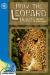 How the Leopard Hunts