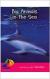Big Animals in the Sea (Sails)