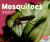 Mosquitoes