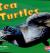 Sea Turtles