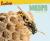Wasps (Readings)