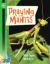 Praying Mantis