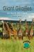 Giant Giraffes Learning the Soft G Sound