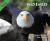 Bald Eagles