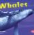 Whales