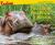 You Think You Know Hippos
