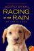 Racing in the Rain