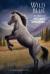 Wild Blue The Story of a Mustang Appaloosa