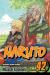 Naruto, Vol. 42 Naruto