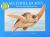 Sea Turtle Journey The Story of a Loggerhead Turtle