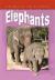 Elephants
