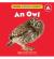 An Owl
