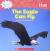 The Eagle Can Fly