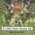 Little Fawn Grows Up