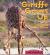 Little Celebrations, Non-Fiction, Giraffe Grows Up, Single Copy, Stage 2a