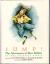 Jump! The Adventures of Brer Rabbit