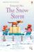 First Reading Level 2 Farmyard Tales the Snow Storm